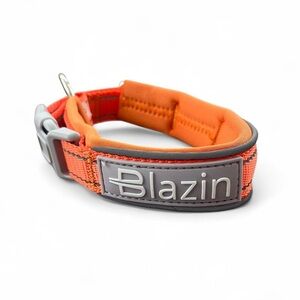 Blazin Orange Dog Collar
